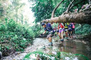 BIB: 
                            <button type="button" onclick="openModal(25453107)" class="btn btn-primary btn-sm float-right btn-popup" data-toggle="modal" data-target=".modal-high-quality">
                        <i class="fas fa-shopping-cart"></i> Add to Cart
                    </button>
                                            <button type="button" onclick="isThisMe(25453107, true)" class="btn btn-success btn-sm float-right btn-popup btn-isme hidden" data-toggle="tooltip" data-placement="bottom" title="นี่คือรูปของคุณใช่ไหม คลิกที่นี่เพื่อเอาเข้าอัลบั้ม">
                        <i class="fas fa-plus"></i> Add to album
                    </button>
                    <button type="button" onclick="isThisMe(25453107, false)" class="btn btn-warning btn-sm float-right btn-popup btn-isnotme hidden">
                        <i class="fas fa-ban"></i> Remove from album
                    </button>